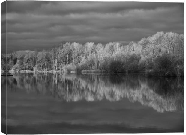Infrared Reflections Canvas Print by Sarah Pymer