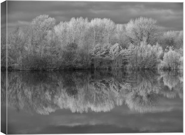 Infrared Reflections Canvas Print by Sarah Pymer