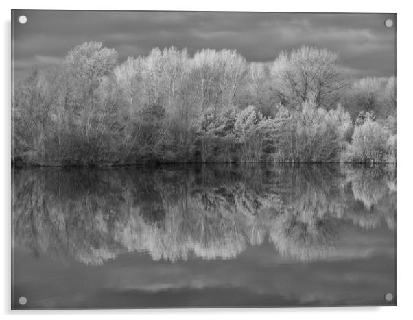 Infrared Reflections Acrylic by Sarah Pymer