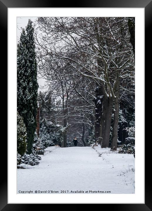 Walking in the Snow Framed Mounted Print by David O'Brien