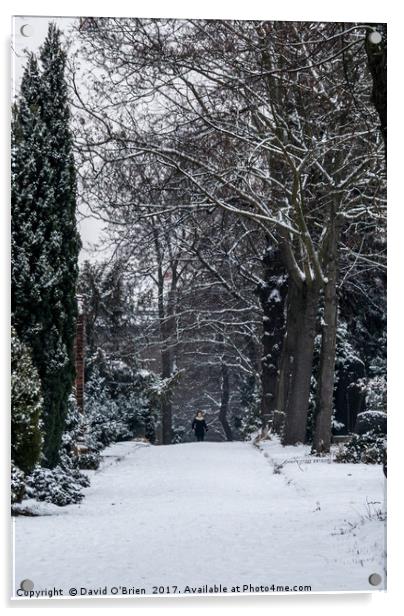 Walking in the Snow Acrylic by David O'Brien