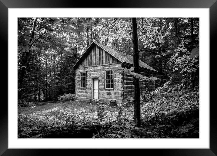 Woodland Shed Framed Mounted Print by David Hare