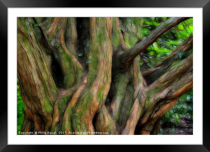 Big Old Tree Framed Mounted Print by Philip Gough