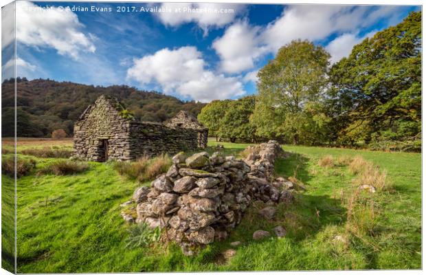 Welsh Cottage Ruin Canvas Print by Adrian Evans