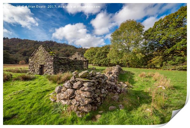 Welsh Cottage Ruin Print by Adrian Evans