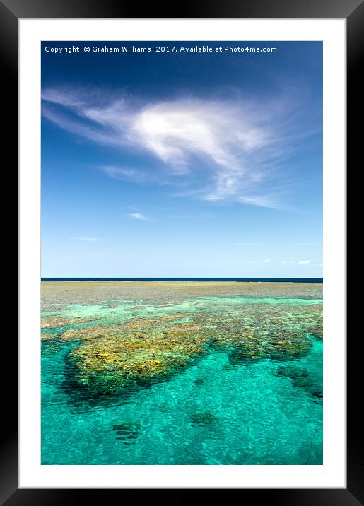 Great Barrier Reef Framed Mounted Print by Graham Williams