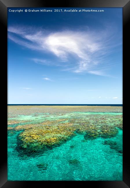Great Barrier Reef Framed Print by Graham Williams