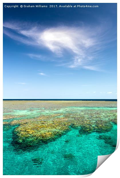 Great Barrier Reef Print by Graham Williams