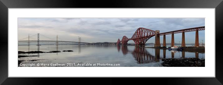 Firth of Forth Bridges at Sunset (Panorama) Framed Mounted Print by Maria Gaellman