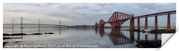 Firth of Forth Bridges at Sunset (Panorama) Print by Maria Gaellman