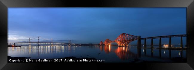 Firth of Forth Bridges at Twilight - Panorama Framed Print by Maria Gaellman