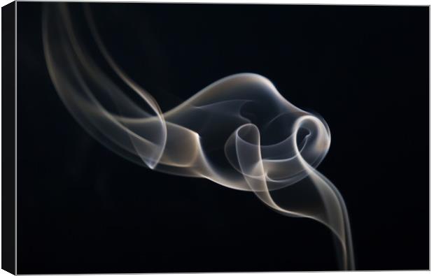 Smoke Trails Canvas Print by Sarah Pymer