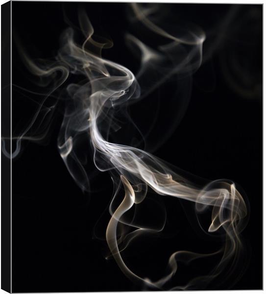 Smoke Trails Canvas Print by Sarah Pymer