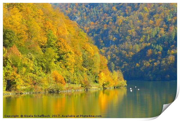 Danube in Autumn Print by Gisela Scheffbuch