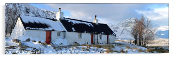 Blackrock Cottage in Winter (Panorama) Acrylic by Maria Gaellman