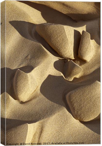 Sand Tips and Shadows, Lake Michigan Shoreline, US Canvas Print by David Roossien