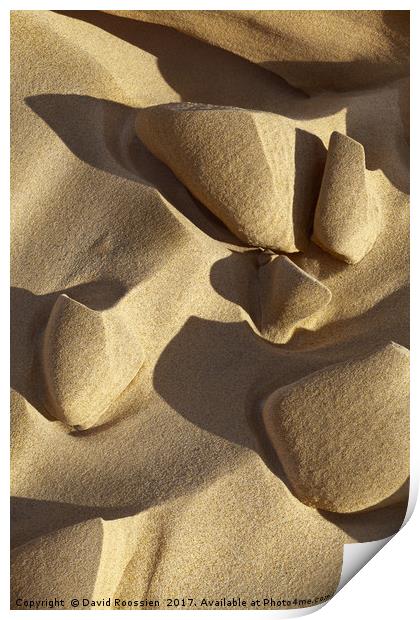 Sand Tips and Shadows, Lake Michigan Shoreline, US Print by David Roossien