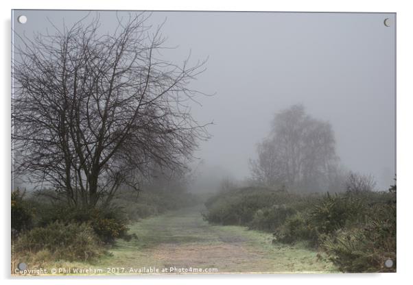 Fog over the common Acrylic by Phil Wareham