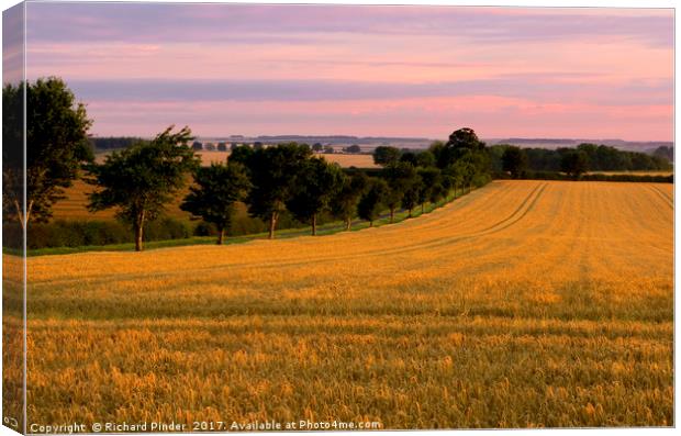 Sunrise over the Barley Field. Canvas Print by Richard Pinder