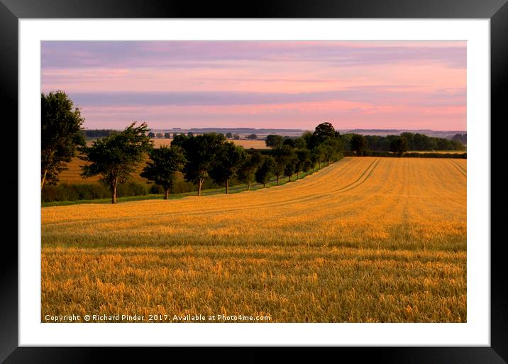Sunrise over the Barley Field. Framed Mounted Print by Richard Pinder