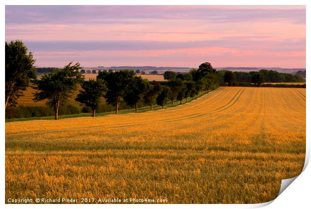 Sunrise over the Barley Field. Print by Richard Pinder