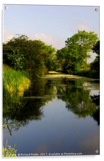 Driffield Canal Acrylic by Richard Pinder