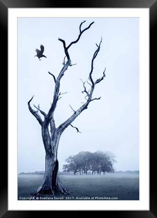The Crow Framed Mounted Print by Svetlana Sewell