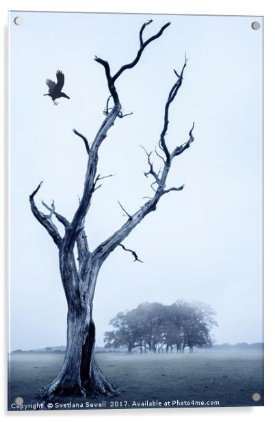 The Crow Acrylic by Svetlana Sewell
