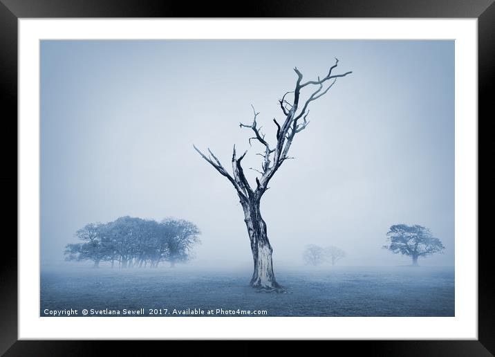 In the Mist Framed Mounted Print by Svetlana Sewell