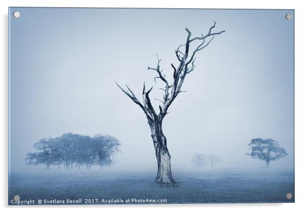 In the Mist Acrylic by Svetlana Sewell