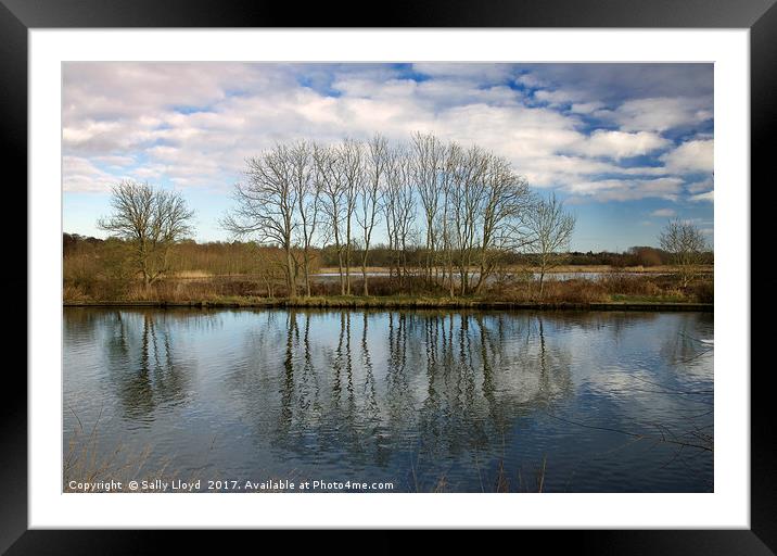 Tree Reflections Framed Mounted Print by Sally Lloyd