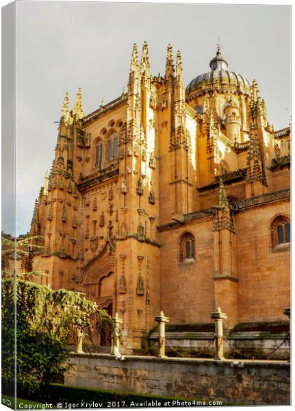 Cathedral of Salamanca Canvas Print by Igor Krylov