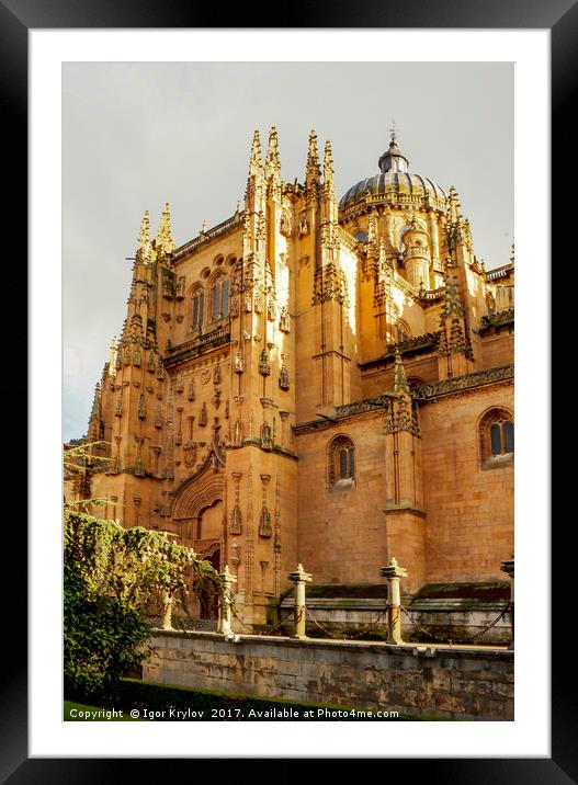 Cathedral of Salamanca Framed Mounted Print by Igor Krylov