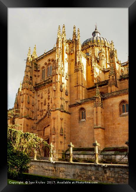 Cathedral of Salamanca Framed Print by Igor Krylov