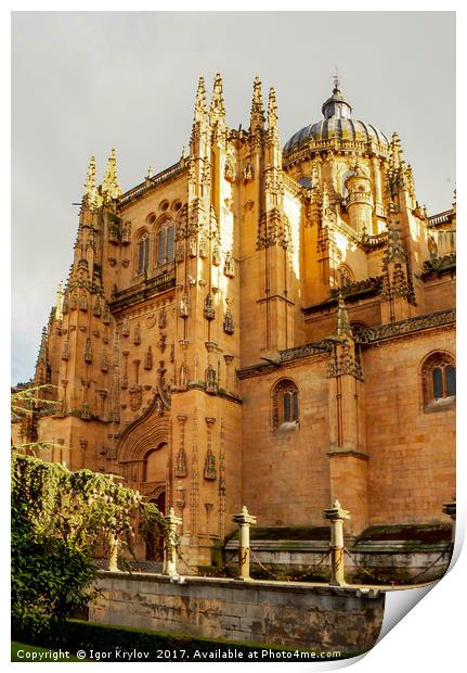 Cathedral of Salamanca Print by Igor Krylov