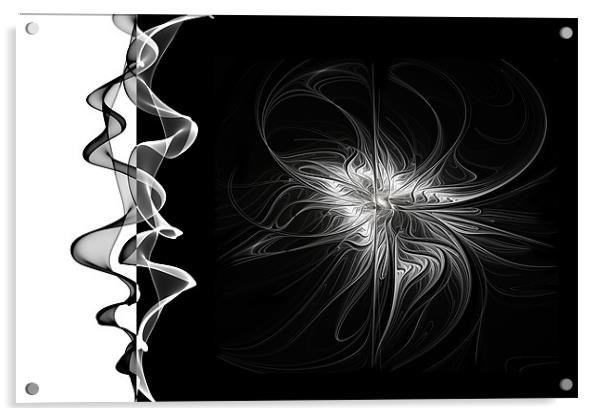 Black and White - 2 - Negative Acrylic by Ann Garrett