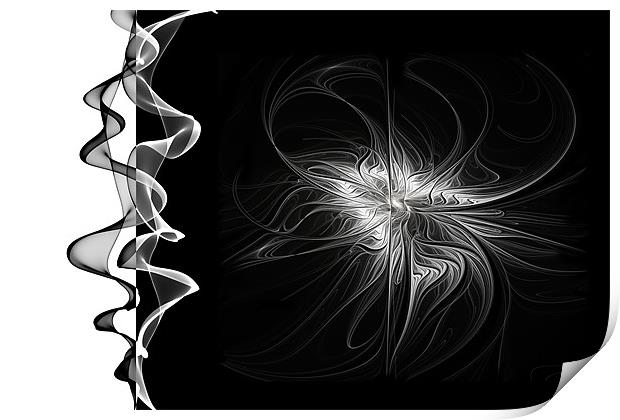 Black and White - 2 - Negative Print by Ann Garrett