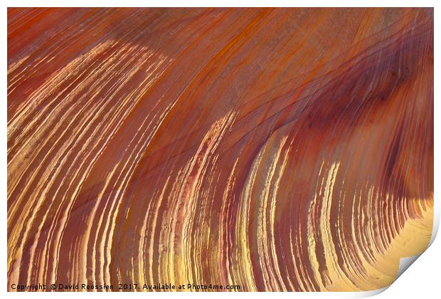 Sunlit Sandstone Ridges, Coyote Buttes, Utah, USA Print by David Roossien