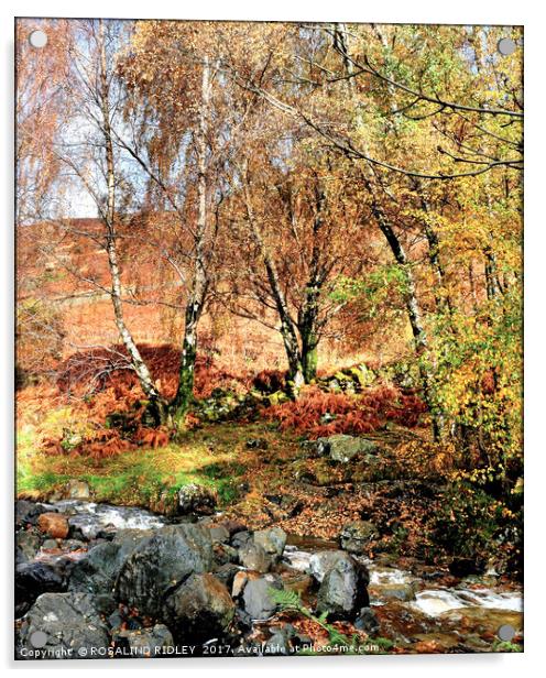 "AUTUMN TREES BY THE STREAM" Acrylic by ROS RIDLEY