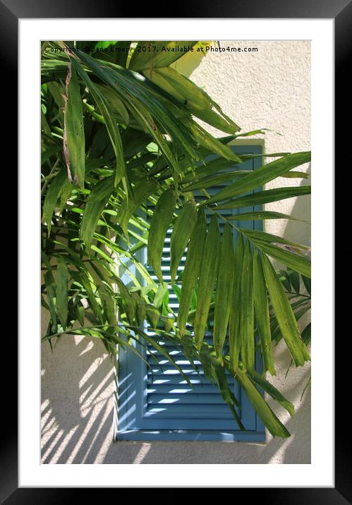 Blue Shutters behind Palm tree in the Sun Framed Mounted Print by Jane Emery