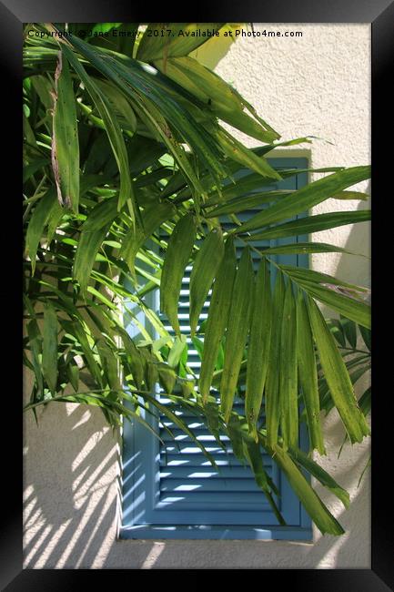 Blue Shutters behind Palm tree in the Sun Framed Print by Jane Emery