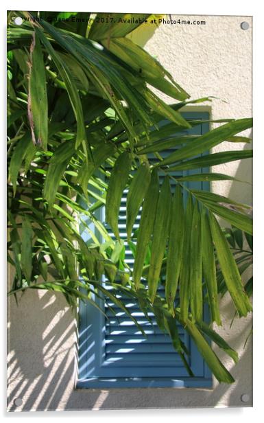 Blue Shutters behind Palm tree in the Sun Acrylic by Jane Emery