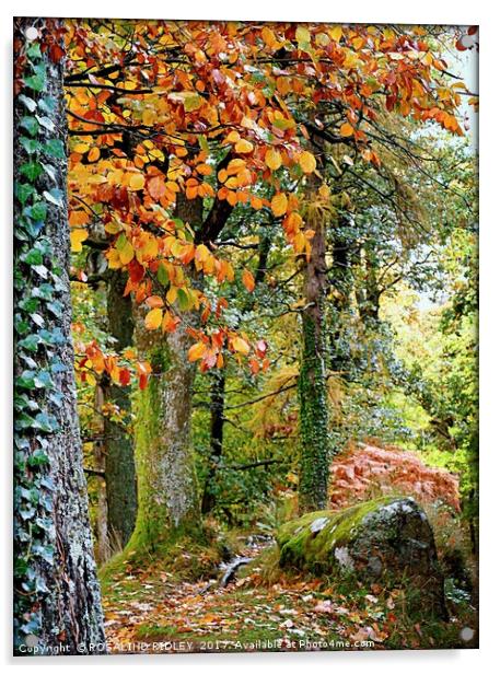 "TAKE A PEAK INTO THE AUTUMN WOOD" Acrylic by ROS RIDLEY