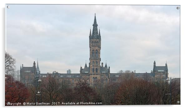 University of Glasgow at Sunrise - Panorama Acrylic by Maria Gaellman