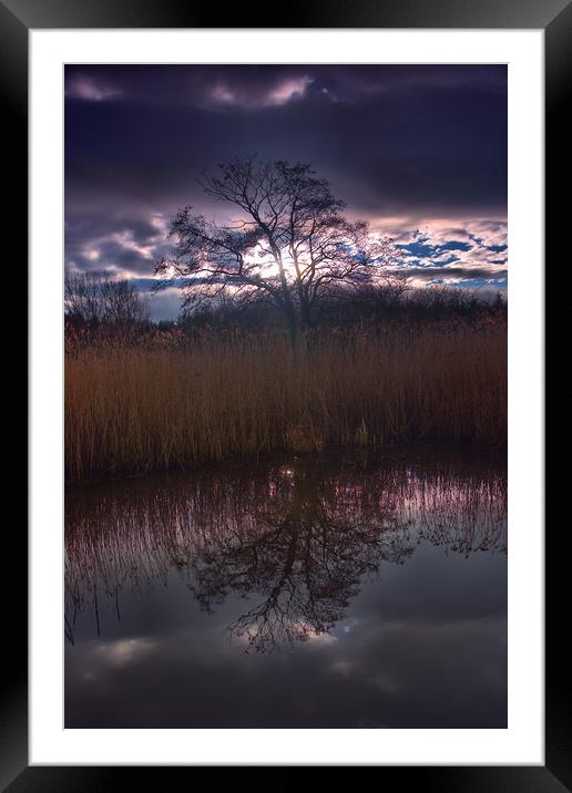 Tree Reflection                                    Framed Mounted Print by kevin wise