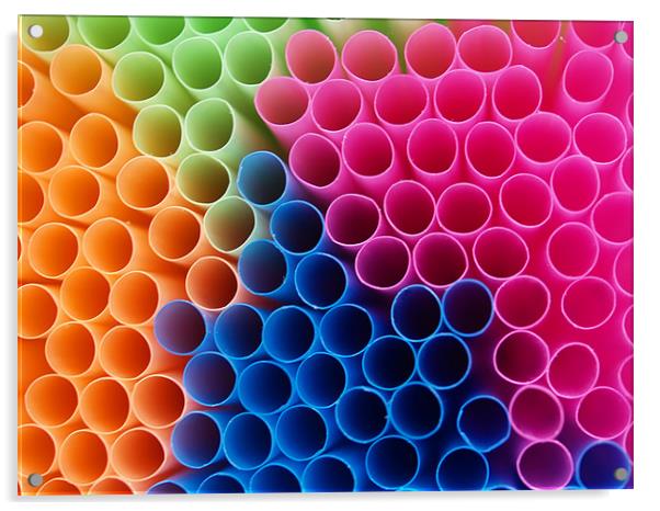 Coloured Straws Acrylic by Chris Thaxter