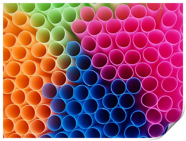 Coloured Straws Print by Chris Thaxter