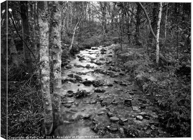 Woodland Stream, Trossachs, Scotland, UK Canvas Print by Rob Cole