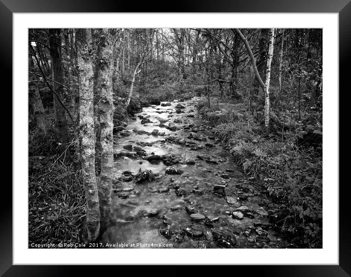 Woodland Stream, Trossachs, Scotland, UK Framed Mounted Print by Rob Cole