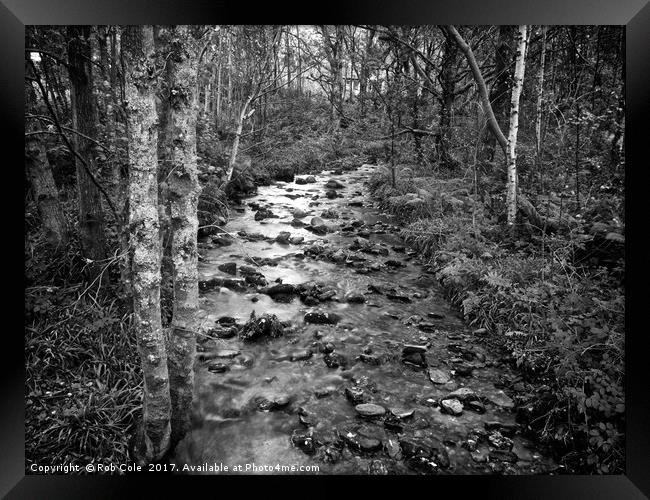 Woodland Stream, Trossachs, Scotland, UK Framed Print by Rob Cole